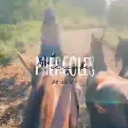 TikTok video