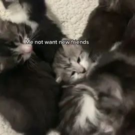 TikTok video