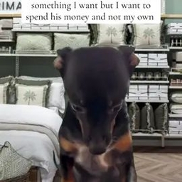 TikTok video