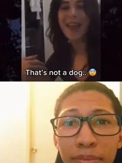 TikTok video