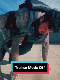 TikTok video