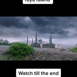 TikTok video