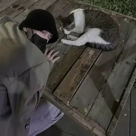 TikTok video