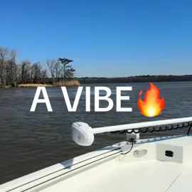 TikTok video