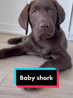 TikTok video