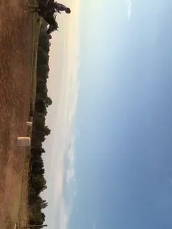 TikTok video
