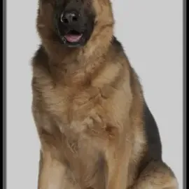 TikTok video
