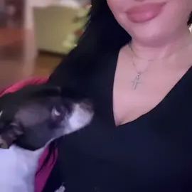 TikTok video