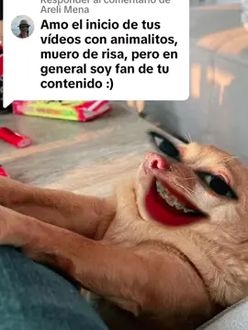 TikTok video