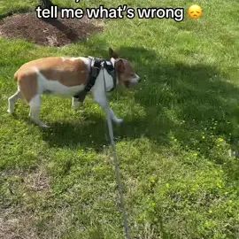 TikTok video