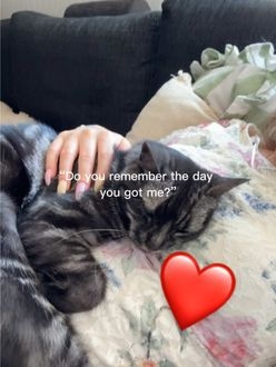 TikTok video