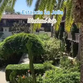 TikTok video
