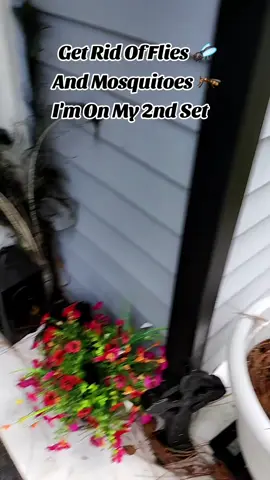 TikTok video