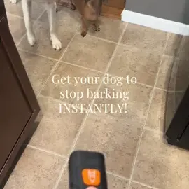 TikTok video