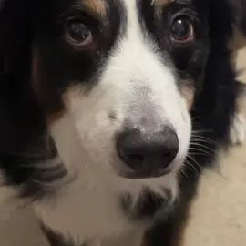 TikTok video
