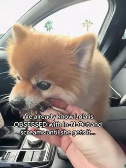 TikTok video