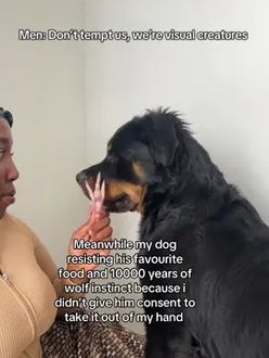 TikTok video
