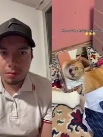 TikTok video