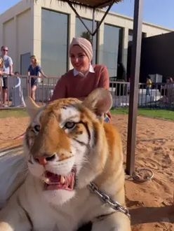 TikTok video