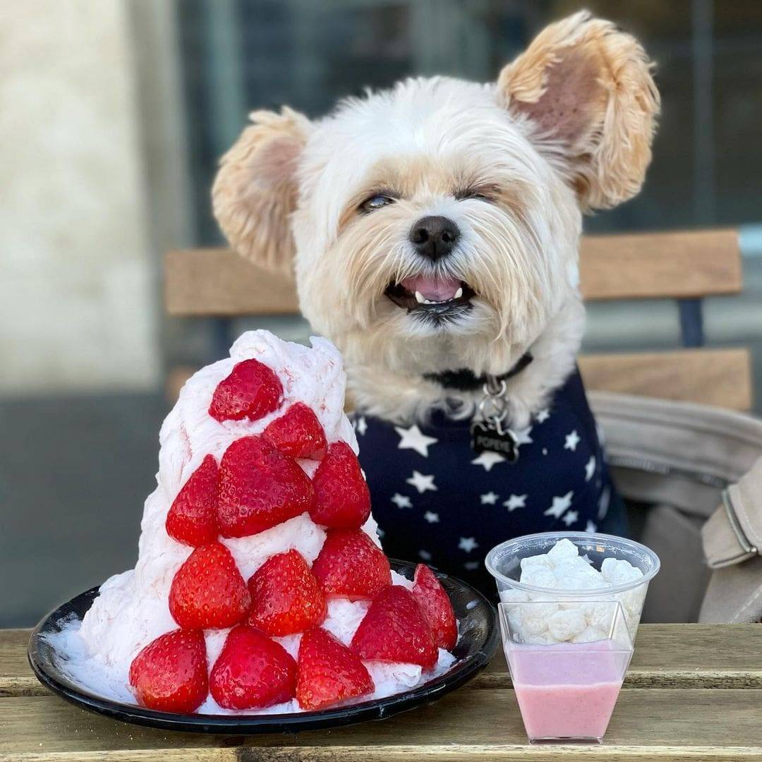 popeyethefoodie