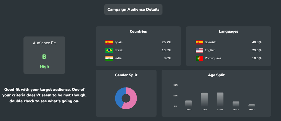 Favikon Audience details